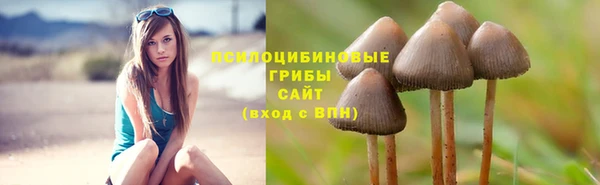 трава Сатка