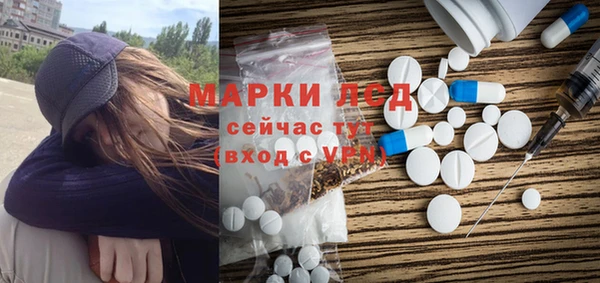 трава Сатка