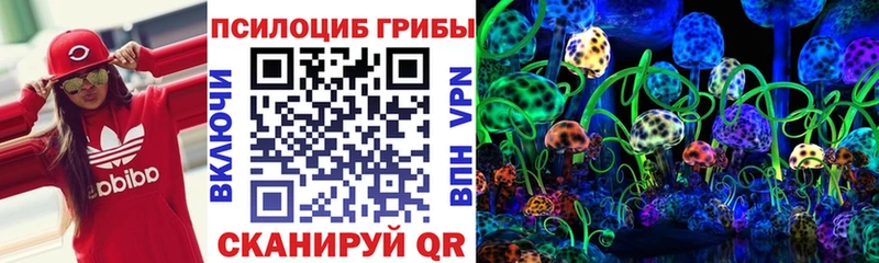 Псилоцибиновые грибы прущие грибы  Бодайбо 